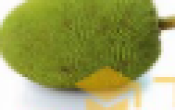 Fruit tier list